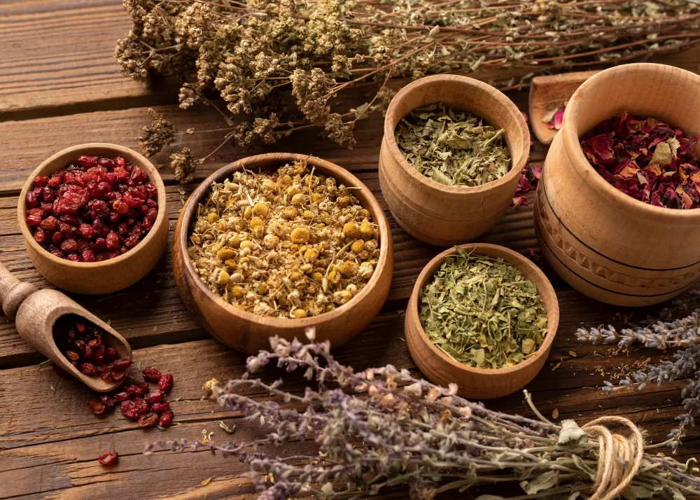 گیاان دارویی طب سنتی